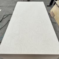 Contreplaqué de bouleau 100% personnalisé 12mm 18mm Contreplaqué laminé marin de qualité E0 4 * 8ft