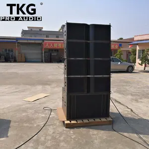 Tkkg l2112 1000w डुअल 12 इंच ध्वनि सिस्टम लाइन सरणी ध्वनि