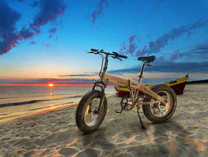 Xiaomi-<span class=keywords><strong>Bicicleta</strong></span> Eléctrica ZB20 con ruedas anchas, cicla eléctrica especial plegable con ruedas anchas para nieve, 20x2021, 48V, 250W y 10Ah, nuevo diseño, 4,0 - Product Image 4