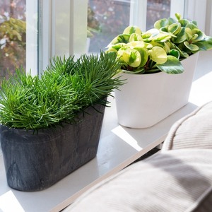 <span class=keywords><strong>Macetas</strong></span> <span class=keywords><strong>de</strong></span> Jardín Grandes <span class=keywords><strong>de</strong></span> Plástico <span class=keywords><strong>de</strong></span> Diseño Moderno, Maceta para Bonsáis y Suculentas, Autorriego, Duraderas, Diseño <span class=keywords><strong>de</strong></span> Imitación <span class=keywords><strong>Piedra</strong></span>, <span class=keywords><strong>Macetas</strong></span> para el Hogar - Product Image 4