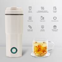 Bouilloire électrique de voyage en acier inoxydable Mini bouilloire électrique pour la chaudière à eau chaude de voyage avec arrêt automatique Bouilloire de conception intelligente