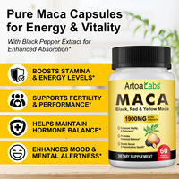 ArtoaLabs Marque Privée Gélules d'Extrait de Racine de Maca 1900mg Améliore la Vitalité Stimule la Santé Reproductive pour Adultes