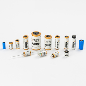 Batteries primaires à haute densité d'énergie Li-SOCl2 faible taux d'autodécharge <span class=keywords><strong>ER9V</strong></span> pour jouets appareils ménagers électronique grand public - Product Image 6
