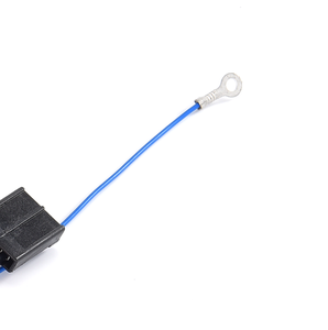 تسخير أنثى 2-دبوس مخصص مع موصلات مصنع مخصص - Product Image 3