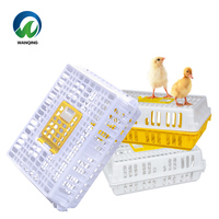 Panier de transport durable en PP pour poulets avec nichoirs, neuf et d'occasion, pour la vente au détail et les caisses de transport pour volailles vivantes