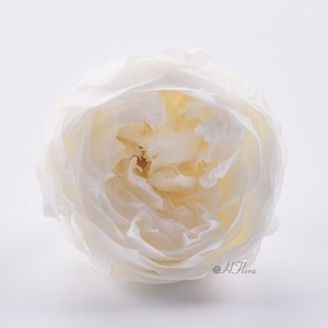 Austin 4-5cm Vente en gros Têtes de roses éternelles décoratives de Noël de haute qualité, préservées, longue durée 3-5 ans - Product Image 2