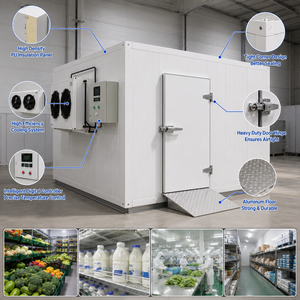 Almacén Frigorífico de Ahorro Energético, Cámara Frigorífica de Temperatura Constante para Conservación de Frutas y Verduras Frescas - Product Image 6