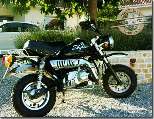 SKYTEAM E5 E4 50cc Skymini monkey motosiklet maymun motosiklet (EURO5 EEC onaylı)