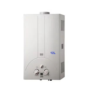 Iraq's specialized copper 3 line and 4 line water flow sensor oxygen free copper 16L18L20L gas water heater with shower