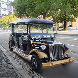 Véhicules électriques à énergie nouvelle à prix réduit 2025, buggy de tourisme classique, voiture électrique vintage à vendre - Product Image 5