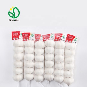 China <span class=keywords><strong>ajo</strong></span> blanco <span class=keywords><strong>de</strong></span> frío <span class=keywords><strong>de</strong></span> almacenamiento <span class=keywords><strong>de</strong></span> bajo precio - Product Image 6