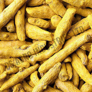 Fournisseur en vrac de gros doigt de curcuma séché entier jaune de qualité supérieure avec emballage personnalisé du Bangladesh - Product Image 2