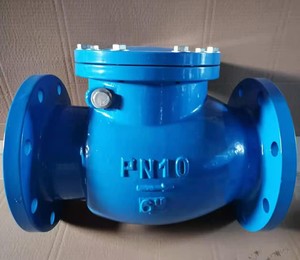 Hot Sale Factory Duction Lron Swing <strong>Check</strong> <strong>Valve</strong> H41w Pn16 Different Sizes Low Price <strong>Api</strong> Compliant - Product Image 4