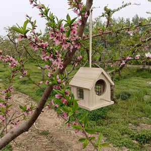 บ้านนกไม้เนื้อแข็งทรงสี่เหลี่ยมขนาดกลาง กันฝน สำหรับแขวนกลางแจ้ง เป็นมิตรกับสิ่งแวดล้อม ใช้ตกแต่ง - Product Image 4