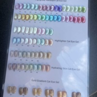Nouveau Kit de vernis à ongles en gel pour les yeux de chat à haute teneur en paillettes personnalisé 12 couleurs 30 couleurs 36 couleurs Soak Off UV Cat Eye Gel Nail Polish Set avec affichage