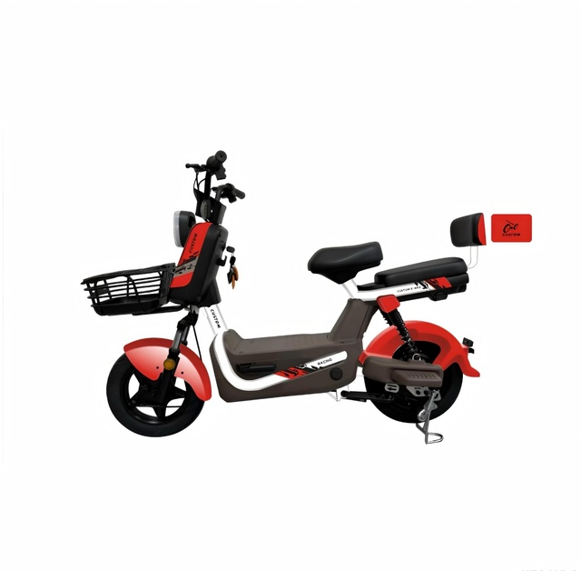 Chinese Electric Bicycle: Best 2025 Models