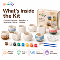 Kit de Pintura de Macetas de Cerámica para Suculentas, Personalizable, Estilo Estético para Niñas, Manualidades, Juego Educativo STEM, Idea de Regalo de Cumpleaños