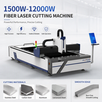 Mesin Pemotong Laser Serat Bersertifikasi CE 3000W/6000W dengan Kontrol Cypcut dan Rel Pemandu Hiwin untuk Suku Cadang Otomotif Produktivitas Tinggi