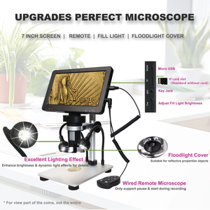 Microscope numérique USB grossissement 1600X Mini caméra d'inspection portative Loupe de peau Lumière LED Microscope vidéo OEM Rohs