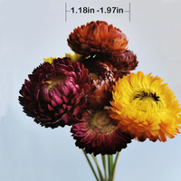 Bouquets de marguerites séchées de haute qualité en gros, 100 % naturelles, pour décoration intérieure, Noël, couleur longue durée