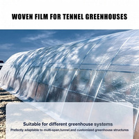 Film de serre tissé transparent toutes saisons, protection anti-UV, feuille de plastique renforcée, épaisseur personnalisable pour tomates