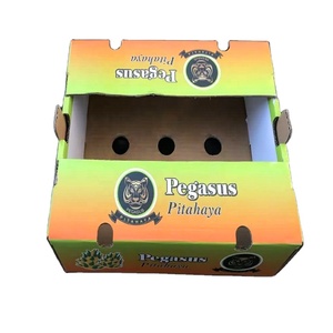 Sweet fresh Pitahaya fruit shipping carton packaging box packing dragon fruit export boxes cartons box for fresh fruit