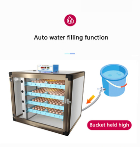 Incubadora Industrial Automática para Aves de Corral, Máquina Incubadora de Huevos Automática Multifunción con Control de Humedad para 80-1000 Huevos - Product Image 3