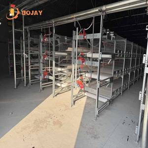 I sistemi di alimentazione automatica e bevuta completano la gabbia della batteria animale dello strato automatico - Product Image 4