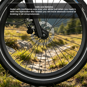 Vélo Électrique Urbain 26 Pouces à Cadre Basé, Moteur 250W, Batterie 504Wh, 7 Vitesses, avec Porte-Bagages - Meilleure Vente LW-EFK009 - Product Image 3