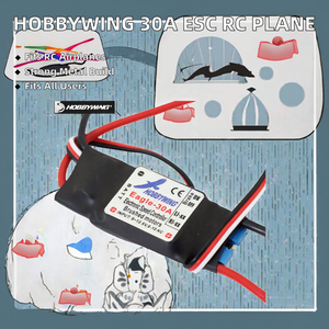 Contrôleur de vitesse <span class=keywords><strong>Hobbywing</strong></span> <span class=keywords><strong>30A</strong></span> ESC à balais avec BEC 1A pour moteur à balais d'avion RC en métal - Product Image 2