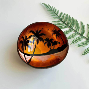Handicraft Color Lacquerware Coconut Bowls Painted Coconut Shell Bowl Shell Coconut Bowl Home Decoration Storage Salad