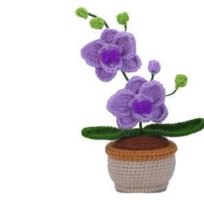 Kit de crochet DIY pour mini orchidée papillon en pot, kit de fleurs au crochet avec fil et motif, pot inclus, pour débutant, décoration artisanale pour la maison - Product Image 1