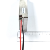 Amplificateurs de puissance RF personnalisables 100W 5.8GHz, module Lora GaN, module anti-drone, VCO intégré