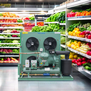 Unidad condensadora automática refrigerada por aire de la sala del congelador Unidad condensadora del compresor <span class=keywords><strong>R410A</strong></span> - Product Image 2