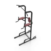 DY-3018 Soporte de Ejercicio Multifuncional para Gimnasio en Casa, Barra de Dominadas de Metal, Soporte para Sentadillas, Banco de Pesas, Soporte para Curl, Equipo de Fitness para Gimnasio en Casa