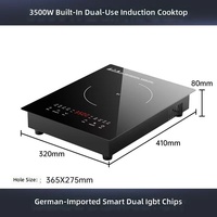 Cuisinière à induction portable à brûleur unique, plaque de cuisson électrique intégrée, alimentation solaire/par batterie 220V pour usage domestique, friture et fondue