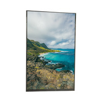 Écran LCD TFT 10,1 pouces StdTech pour machines agricoles, interface MIPI, module 800x1280