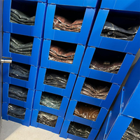 Pliable pour PP boîte en plastique ondulé pour Coroplast polypropylène pour caisses en tôle creuse pour la logistique boîte de chiffre d'affaires personnalisée