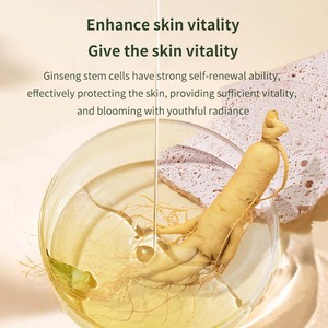 Sophora Flavescens Natural <b>Soap</b> with Anti-inflammatory and Antibacterial Properties - Product Image 4