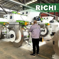 Máquinas de Compresión de Pellets de Papel RICHI de Alta Capacidad 5-7t/h, Máquina para Hacer Pellets de Papel y Hojas