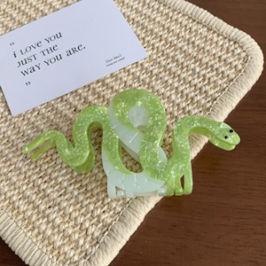 Pinces à cheveux originales en forme de serpent, pinces à cheveux personnalisées en forme de requin en acétate, accessoires capillaires uniques - Product Image 6