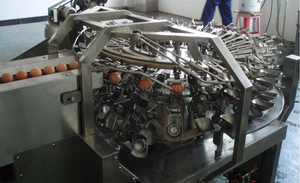 Machine à fraiser les œufs automatique, w, séparation, hachoir, blanc et <span class=keywords><strong>jaune</strong></span> - Product Image 5