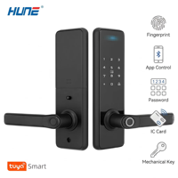 Serrure de porte intelligente antivol avec assistant Google, résistante au feu, poignée à empreinte digitale, résistante au froid, résistante aux rayons du soleil, étanche IP65