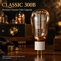 Tube à vide audiophile PSVANE 300B-N, grille en maille d'aubergine, base en céramique blanche, broches dorées, triode de puissance HIFI pour mise à niveau d'amplificateur à tubes