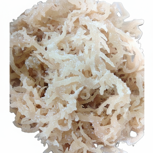 Musgo Marino Salado Blanco de Distribución a Granel, Orgánico 100%, con Alto Contenido de Vitaminas, Retrasa el Proceso de Envejecimiento - Product Image 1