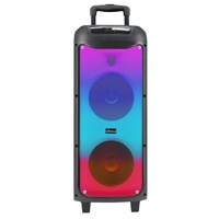Vente en gros directe usine : Enceinte portable sur chariot 60W avec Bluetooth, double haut-parleur 8 pouces, RGB coloré, fonction karaoké et TWS, pour KTV domestique