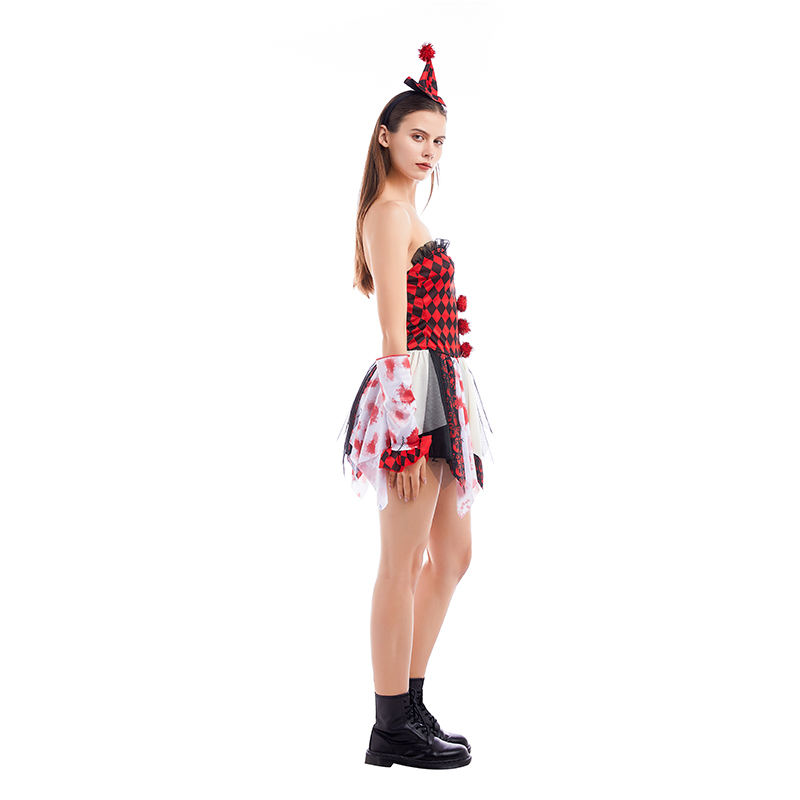Circus Harlequin Costume