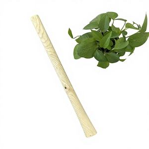 Petite <span class=keywords><strong>pioche</strong></span> à <span class=keywords><strong>manche</strong></span> en bois double usage, outil agricole, houe pointue à tête unique, modèle 00046 - Product Image 1