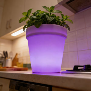 Maceta de Plástico PE Contemporánea, Ecológica, Degradable e Impermeable para Uso en Interiores y Exteriores, en el Suelo y Colgante - Product Image 4