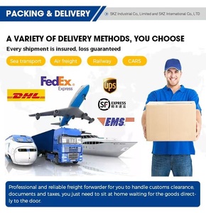 DO210E ポータブルDOメーター デジタル水質分析計 電極式DO測定器 水族館、プール、魚池の検査用 - Product Image 6